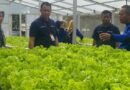 Begini Tugas Agribisnis Bagi Jaga Pasokan Pangan Nasional